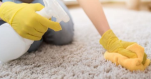 CarpetBest carpet cleaning service in Melbourne Maintenance Tips
