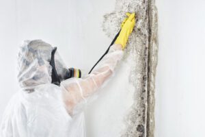 mould removal geelong